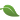 Green & Eco travel