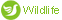 Wild life