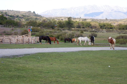 Excursie calare - Hosteria las Torres