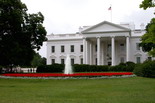 Casa Alba