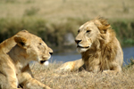 Big Five