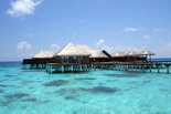 Maldive