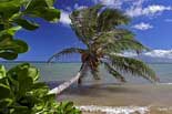 Hawaii