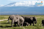 Kenya