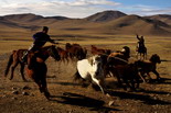Mongolia
