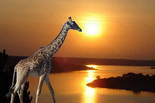 Rwanda