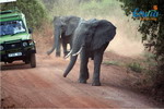 Tanzania