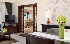 Dreams Palm Beach Punta Cana Preferred Club Honeymoon Suite Jacuzzi Tropical View