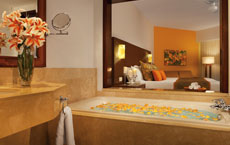Now Larimar Punta Cana Deluxe Pool View