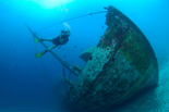 Dive in Bonaire