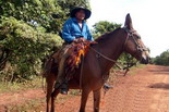 Adventure Brasil