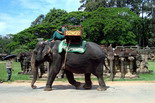 Discover Cambodia - New Year 2011