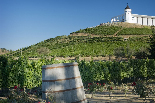 Oferta Speciala Air France & KLM - Argentina & Chile - Cities, Wines & Lakes