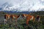 Best of Patagonia