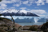 Patagonia Total