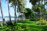 Tamarindo El Diria
