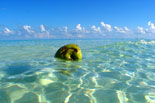 Varadero Touch