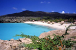 Beach Holiday Curacao - Aruba New Year's Eve 2011