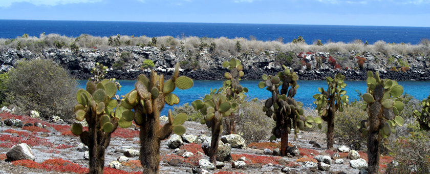 Share a Trip - Circuit Ecuador & Galapagos