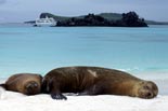 Galapagos Explorer II Cruise