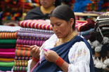 Ecuador Experience