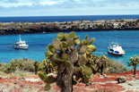 Ecuador & Galapagos Experience