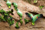 Highlights Ecuador & Galapagos