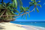 Fiji Touch