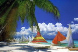 Beach & Leisure Tour Discover Filipine