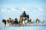 Tour Cruise Discover Denmark & Greenland