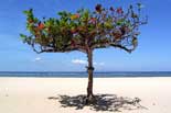 Beach & Leisure Luxury Luxury Bali Beach