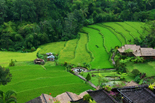 Bali Touch