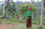 Discover Indonezia