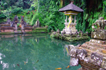 Essential Indonezia