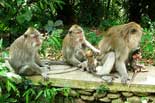 Family vacation Family Discover Bali