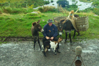 Discover Ireland