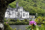 Irlanda Touch
