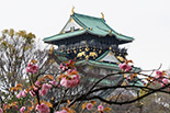 Art & Culture Japan