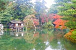 Discover Japonia