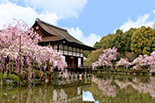 Luxury Japan