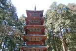 Discover Japonia
