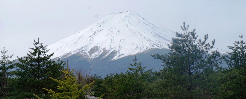Sakura - Sarbatoarea ciresilor infloriti Japonia - martie 2021 - recomandat Razvan Pascu