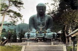 Discover Japonia