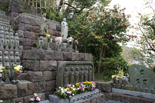 Japonia Total
