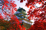 Japonia Touch