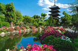 Discover Japan