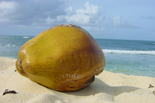 Mombasa Touch