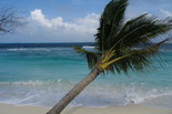 Embudu Island Resort