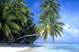 Maldives Touch - New Year 2011