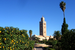 Maroc in Style